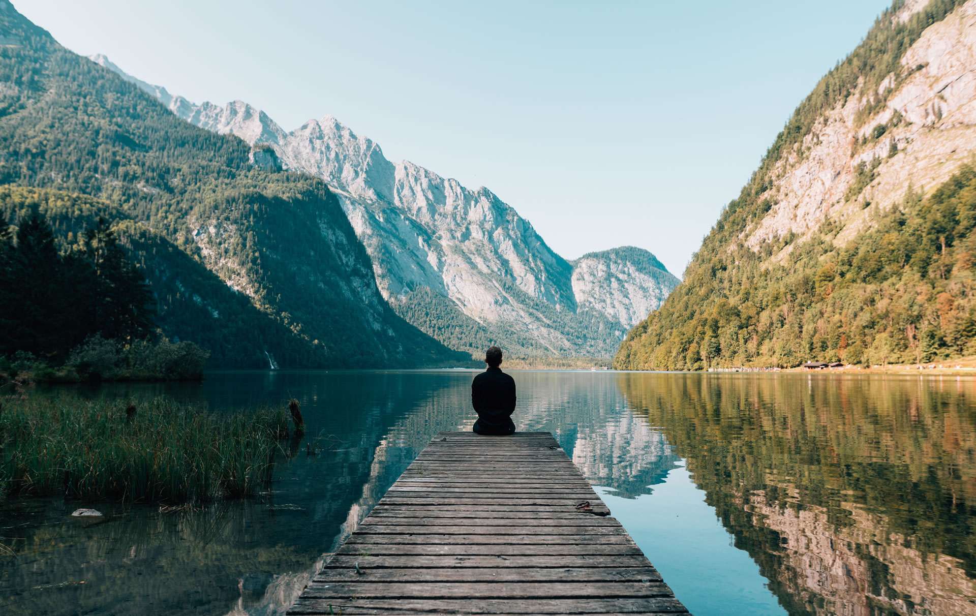 The Mind Rewire